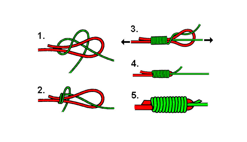 Albright Knot